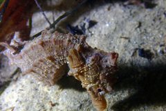 318425261_466077529032325_2294772125556161530_n