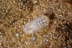 336392098_977803833190697_1331248235400832421_n