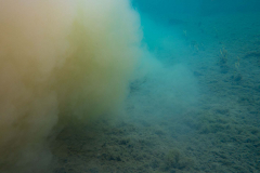 337074394_924916285415661_4920118244187994104_n