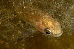 337089902_1261595668065479_2571845230967977394_n