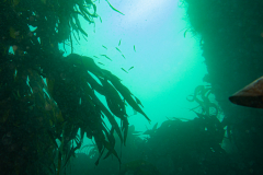 Ambiance, grotte à momo